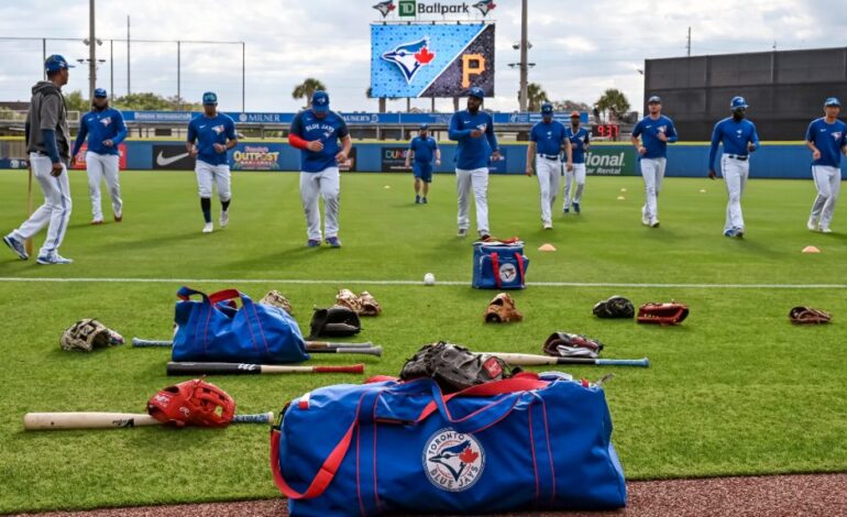 On Frustrations and Disappointment of the Toronto Blue Jays and Their Lack of Sustainability